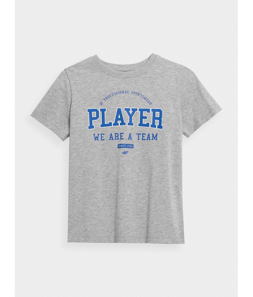 4F T-Shirt dla chłopców Szary z Niebieskim Nadrukiem Rozmiar 122cm
