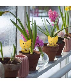 V-CATCHER Pasti za sadne muhe - 25 kosov, rumene lepljive pasti