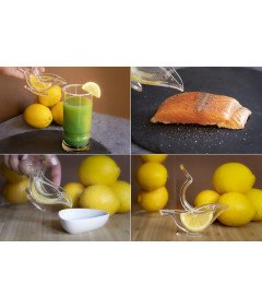 Ročna stiskalnica za limone, pomaranče in akrilne izdelke