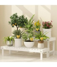 V-CATCHER Pasti za sadne muhe - 25 kosov, rumene lepljive pasti