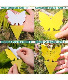 V-CATCHER Pasti za sadne muhe - 25 kosov, rumene lepljive pasti