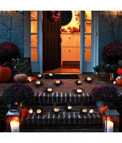 Komplet 12 sveč LED v obliki pajka za noč čarovnic