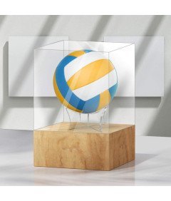 Komplet akrilnih stojal za žoge 12 kosov za prikaz žog