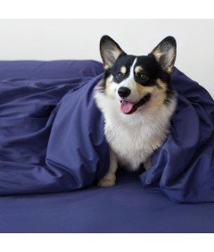 MR and HM Komplet posteljnine iz mikrovlaken 135x200 cm 80x80 cm mornarsko modra