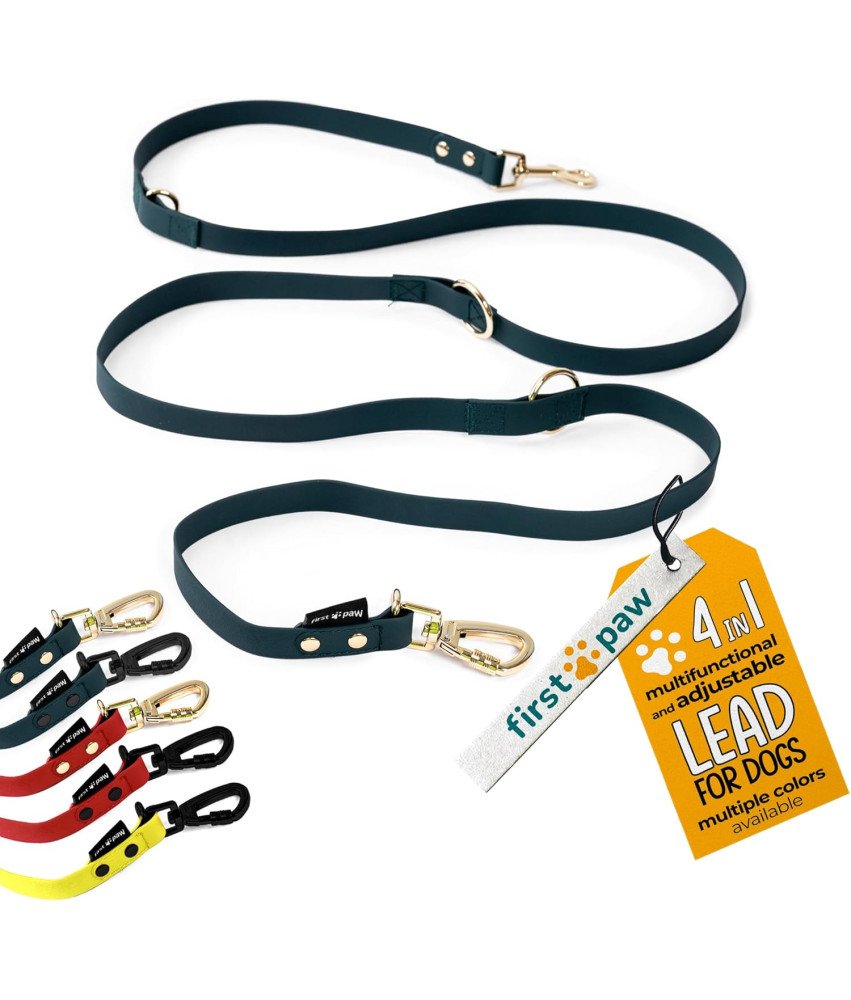 FIRSTPAW Smycz dla Psa Regulowana Wyściełana 2 m Ciemnozielona