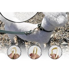 FIRSTPAW Smycz dla Psa Regulowana Wyściełana 2 m Ciemnozielona