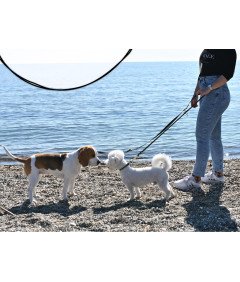 FIRSTPAW Smycz dla Psa Regulowana Wyściełana 2 m Ciemnozielona