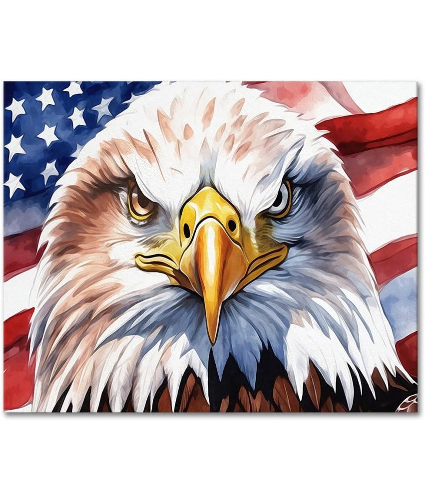 DIY Slikanje po številkah Orel in ameriška zastava 40x50cm Akrilne barve