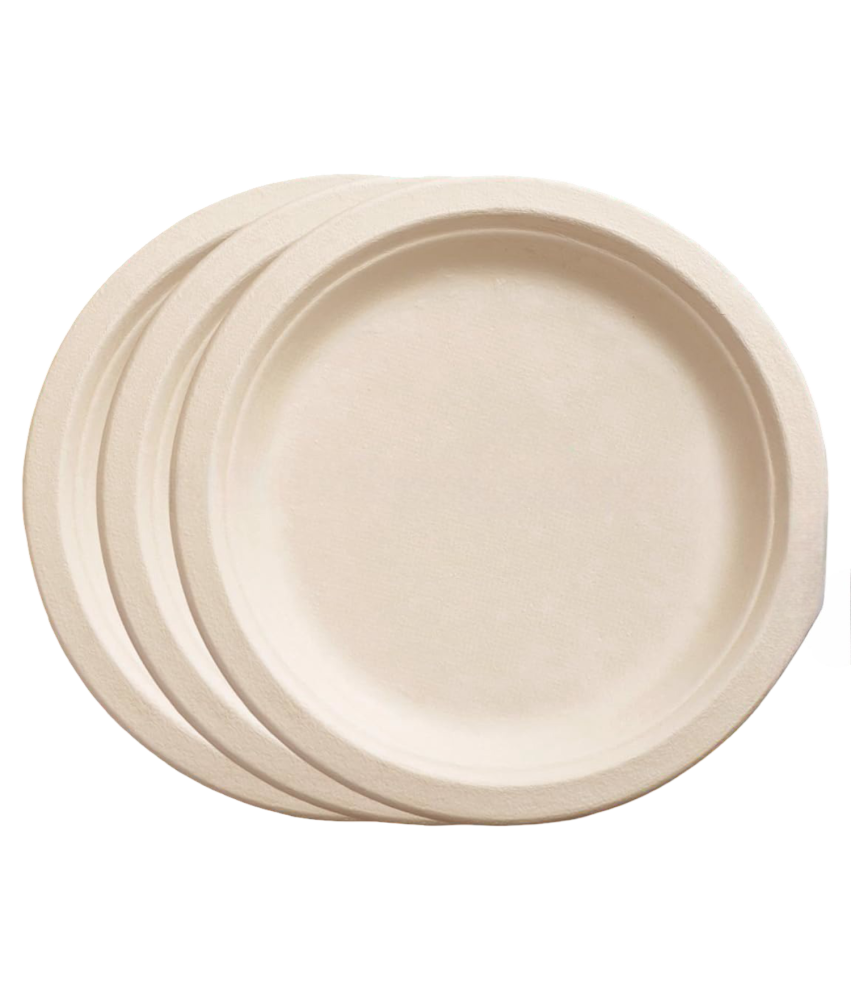 Papirnati pladenj za enkratno uporabo za peko na žaru EKO 25 cm 10 kosov