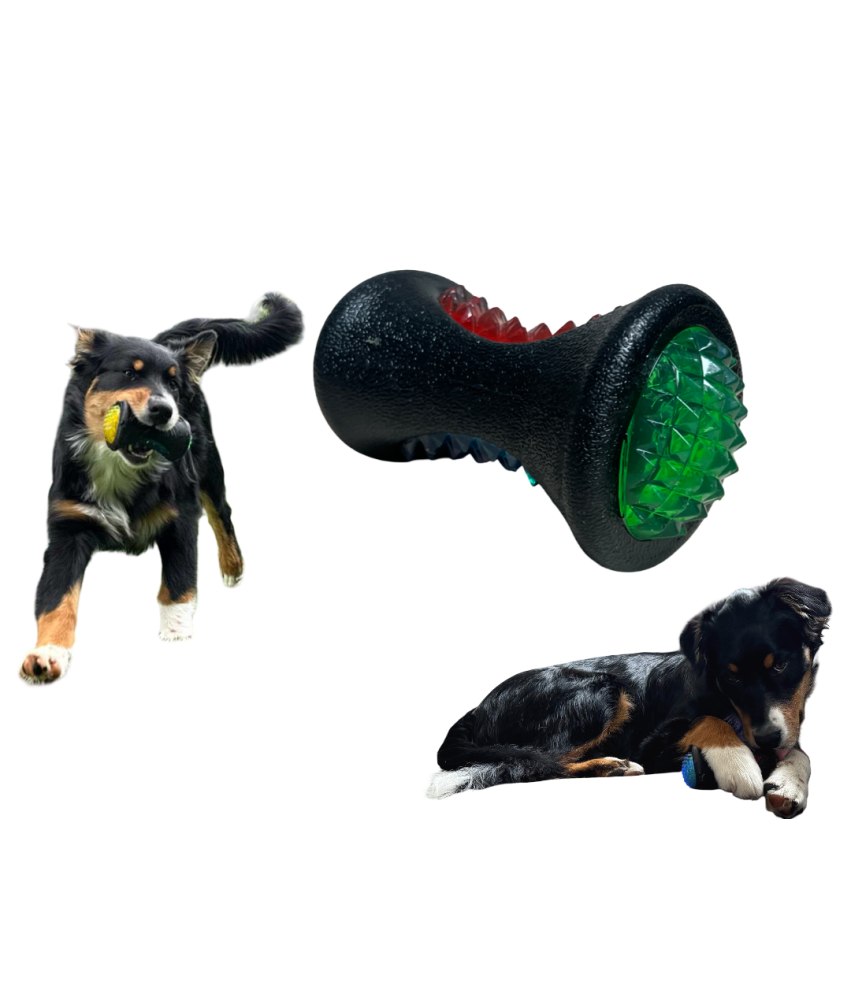 Žvečilna igrača za pse Bouncy Ball Luminous Rubber Tug Toy Fetch Floating