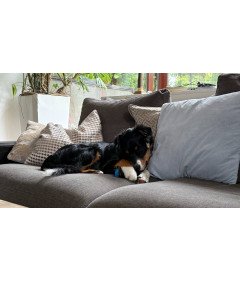 Žvečilna igrača za pse Bouncy Ball Luminous Rubber Tug Toy Fetch Floating