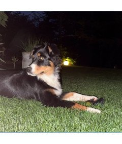 Žvečilna igrača za pse Bouncy Ball Luminous Rubber Tug Toy Fetch Floating