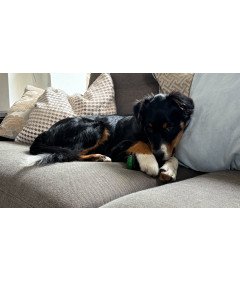 Žvečilna igrača za pse Bouncy Ball Luminous Rubber Tug Toy Fetch Floating