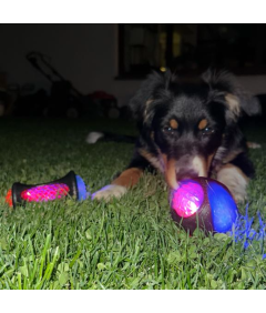 Svetleča pasja žoga z bodicami za prinašanje Interaktivna igrača za skakanje
