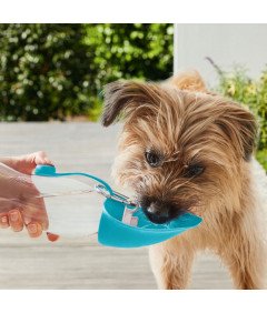 Steklenica za vodo za pse Bidon Drinker Collapsible Bowl Walking 550 ml Tourist