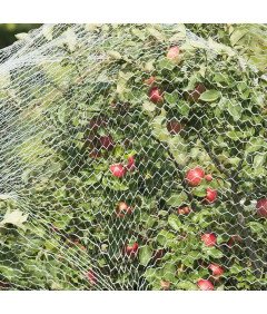 Siatka Ochronna Dla Kota Na Balkon Okno 5 x 5 m Przezroczysta Bez Wiercenia