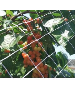 Siatka Ochronna Dla Kota Na Balkon Okno 5 x 5 m Przezroczysta Bez Wiercenia