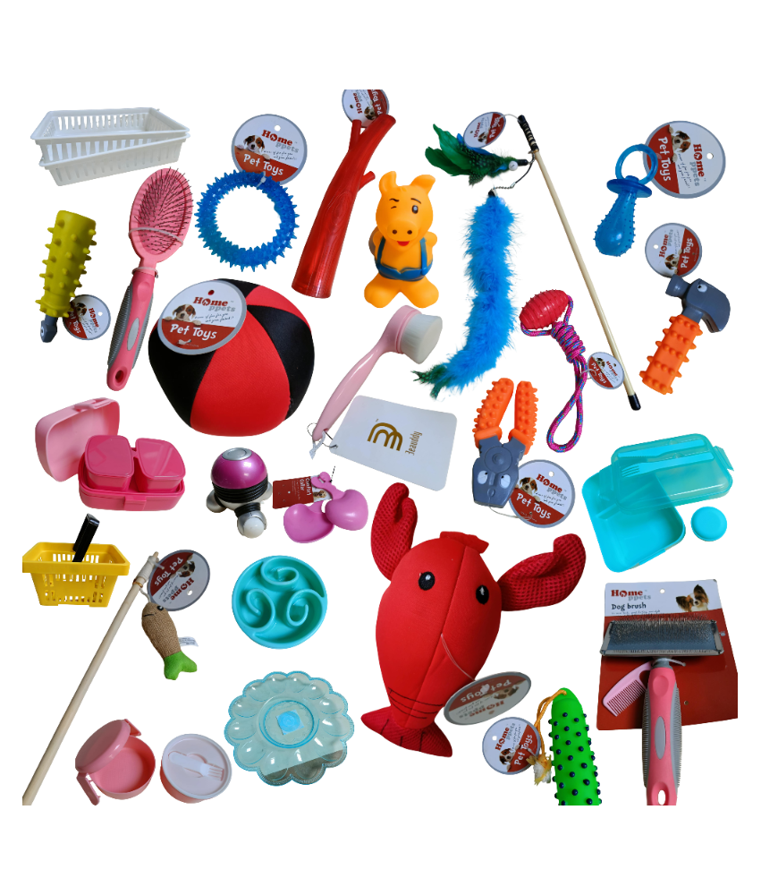 Zestaw Ponad 60 Przedmiotów Akcesoria Dla Zwierząt Zabawki Pojemniki Bidony i Więcej
