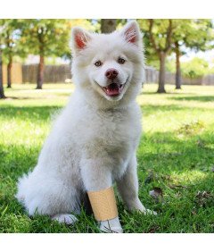 Taśmy Bandaż Kohezyjny Elastyczny Samoprzylepny Oddychający 24 sztuki