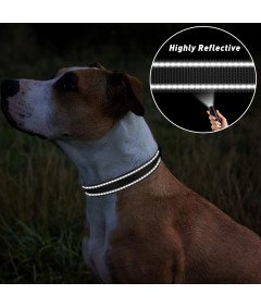 TagME odsevna najlonska ovratnica za pse s hitrim zapenjanjem črna XS