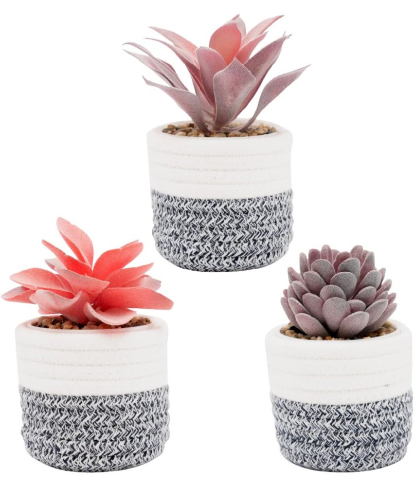VIVERIE Komplet umetnih sukulentov v lončkih 3 kosi 8 x 12,5 cm