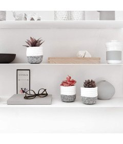 VIVERIE Komplet umetnih sukulentov v lončkih 3 kosi 8 x 12,5 cm