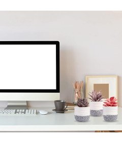 VIVERIE Komplet umetnih sukulentov v lončkih 3 kosi 8 x 12,5 cm