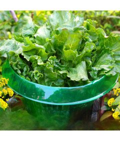 Kołnierz Ślimakowy Płot Ochronny Na Rośliny Przed Ślimakami 20 Sztuk Ø 24cm