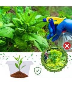 Kołnierz Ślimakowy Płot Ochronny Na Rośliny Przed Ślimakami 20 Sztuk Ø 24cm