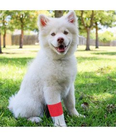 Taśma Bandaż Opatrunkowy Samoprzylepny Sportowy 6 szt 5 cm x 5,5 m