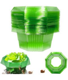 Kołnież Osłona Przeciw Ślimakom Ochrona Roślin Warzyw Ogrodowych 30szt