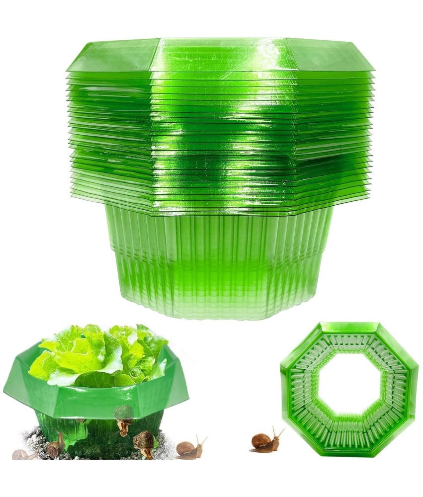 Kołnież Osłona Przeciw Ślimakom Ochrona Roślin Warzyw Ogrodowych 30szt