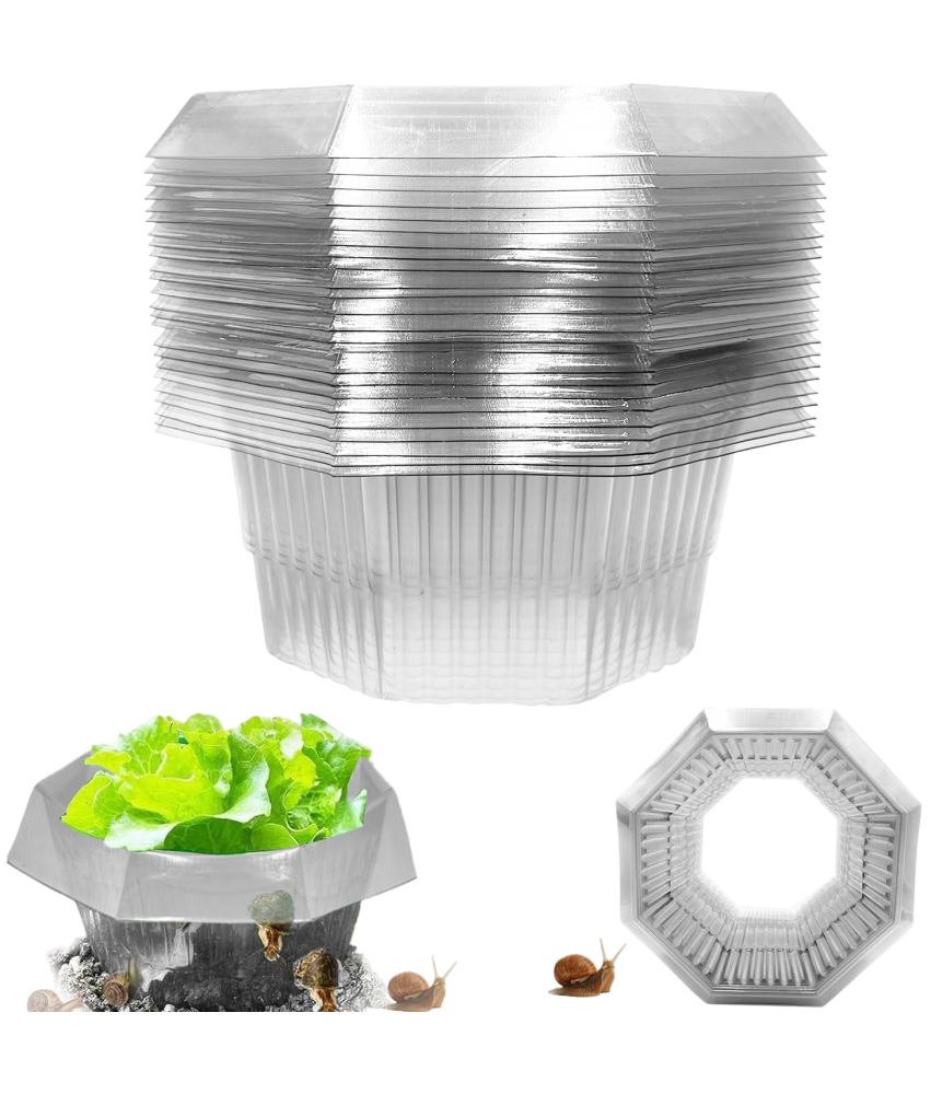 Kołnież Osłona Przeciw Ślimakom Ochrona Roślin Warzyw Ogrodowych 30szt