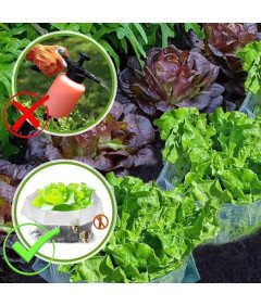 Kołnież Osłona Przeciw Ślimakom Ochrona Roślin Warzyw Ogrodowych 20szt