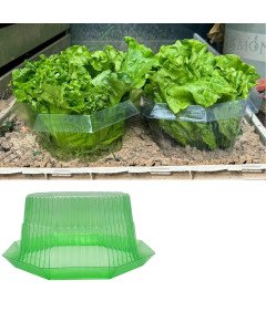 Kołnież Osłona Przeciw Ślimakom Ochrona Roślin Warzyw Ogrodowych 20szt