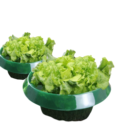 Kołnierze Przeciw Ślimakom 12 Sztuk Ochrona Przed Ślimakami do Ogrodu