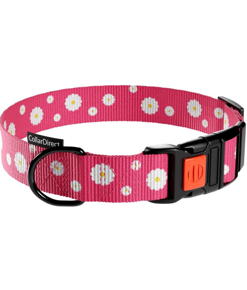 Obroża dla Psa Nylonowa z Klamrą Regulowana Obwód Szyi 45,7-66 cm Różowa