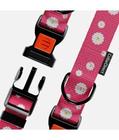 Obroża dla Psa Nylonowa z Klamrą Regulowana Obwód Szyi 45,7-66 cm Różowa