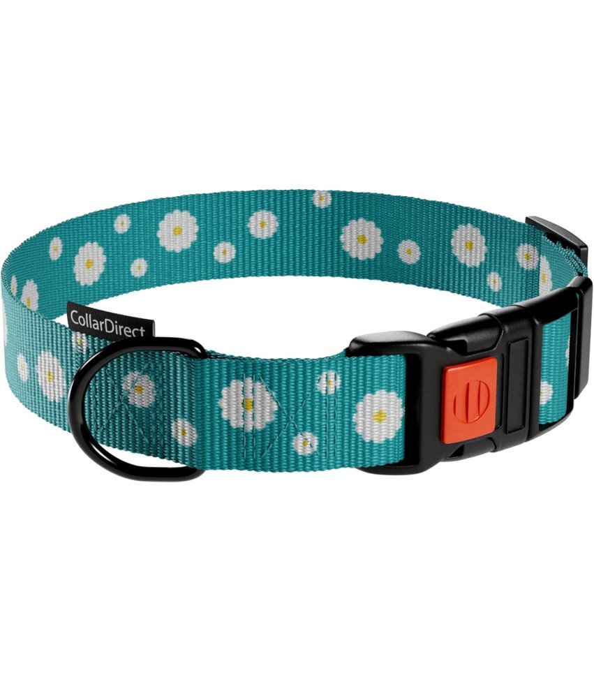 Obroża dla Psa Nylonowa z Klamrą Regulowana Obwód Szyi 30,5-40,6 cm
