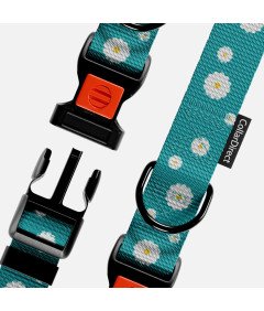 Obroża dla Psa Nylonowa z Klamrą Regulowana Obwód Szyi 30,5-40,6 cm