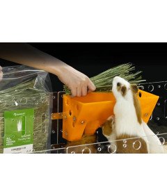 GuineaLoft Karmnik Dla Gryzoni i Królików Świnki Morskie Żółty 24x13x cm