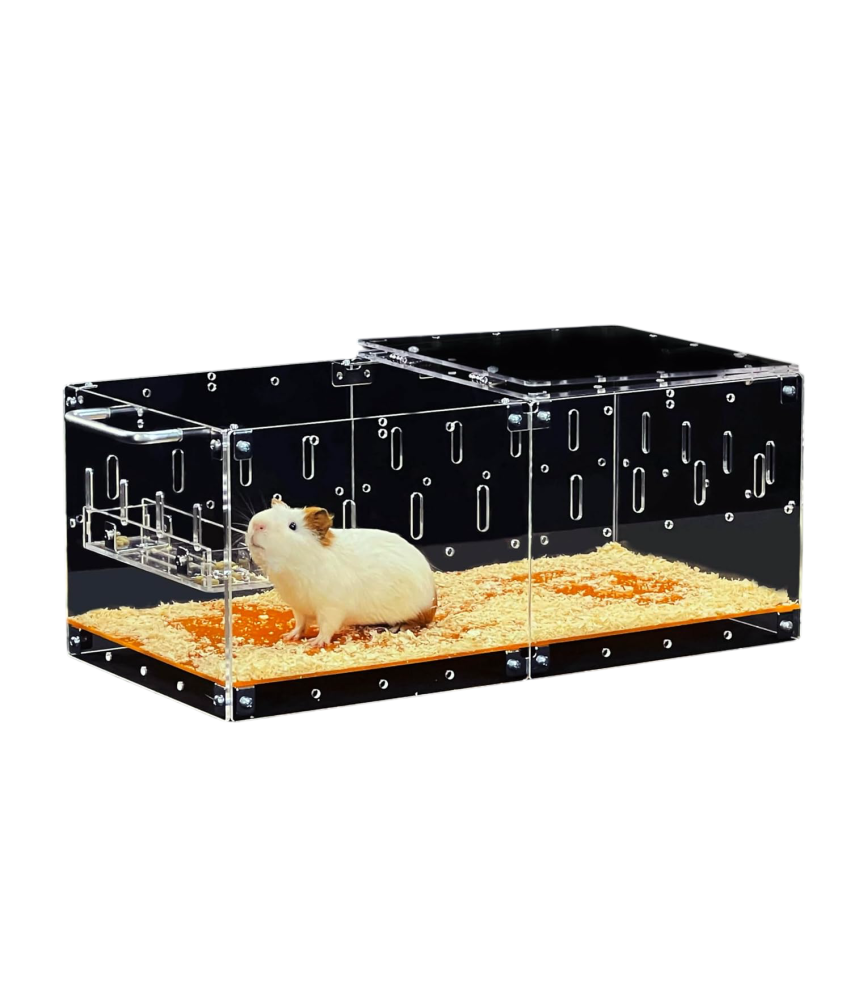 GuineaLoft Klatka dla Gryzoni Chomika Świnki Morskiej Myszy 61x30x24 cm