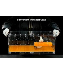 GuineaLoft Klatka dla Gryzoni Chomika Świnki Morskiej Myszy 61x30x24 cm