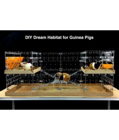 GuineaLoft Klatka dla Świnki Morskiej z Pokrywką Akrylowa 60x30 cm