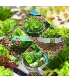 Ochrona Przed Ślimakami Bariera Kołnierz 12 Szt Woreczki na Rośliny 12 Szt