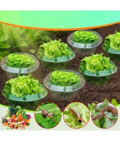 Ochrona Przed Ślimakami Bariera Kołnierz 12 Szt Woreczki na Rośliny 12 Szt