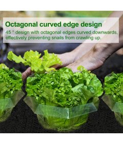 Kołnierze Obręcze Przeciw Ślimakom 20 Sztuk Ø 24cm Ochrona Warzyw i Kwiatów