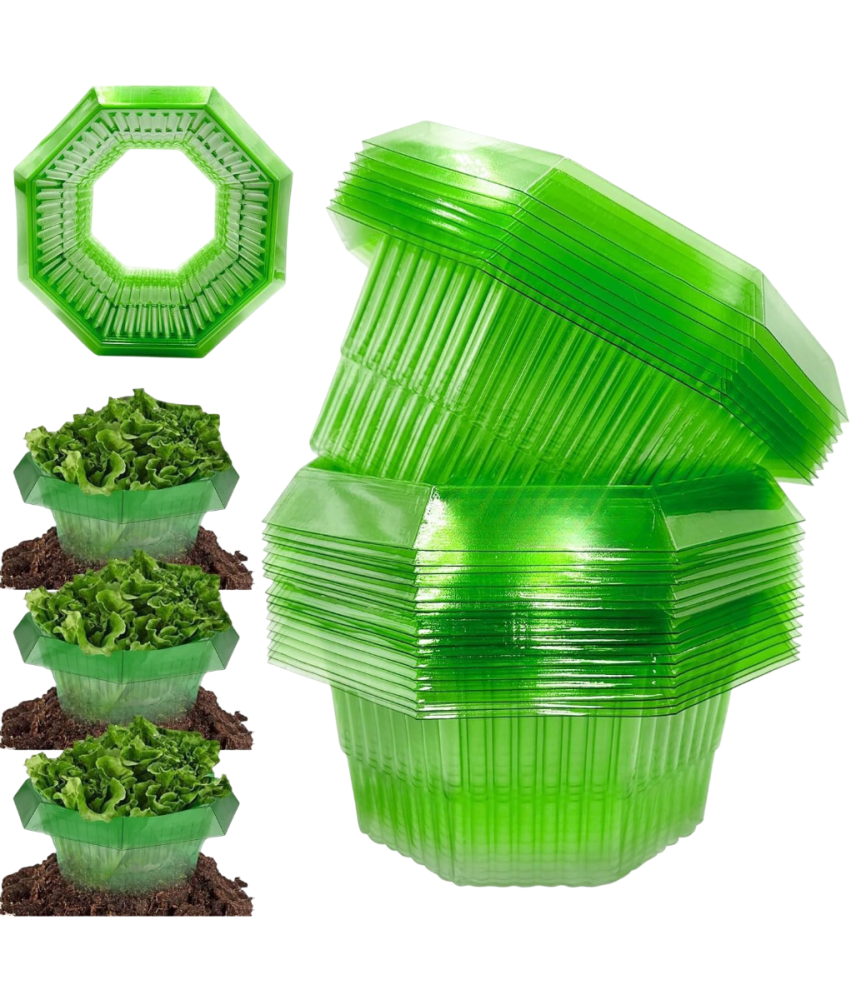 Kołnież Osłona Przeciw Ślimakom Ochrona Roślin Warzyw Ogrodowych 10szt