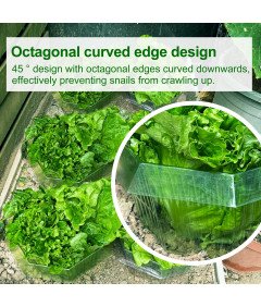 Kołnierze Przeciw Ślimakom 20 Sztuk 24x12 cm Ochrona Roślin Przezroczyste