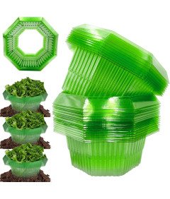 Kołnierze Przeciw Ślimakom 10 Sztuk z Tworzywa Sztucznego Ochrona Roślin